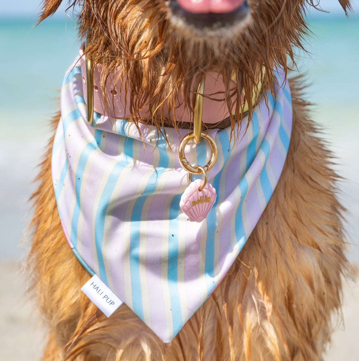 Stardust Springs Dog Bandana