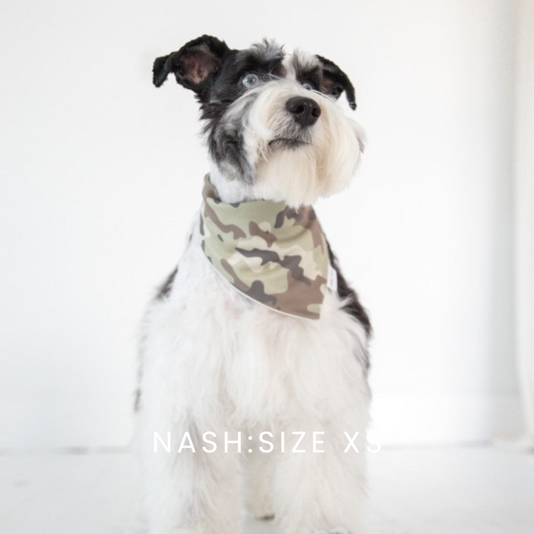 Farm Tractors With Reversible Camo Dog Bandana