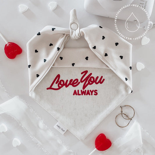 MINOR FLAW Love You Always With Reversible Hearts Dog Bandana