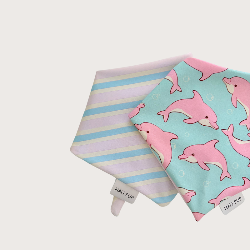 Malibu Crush Dog Bandana