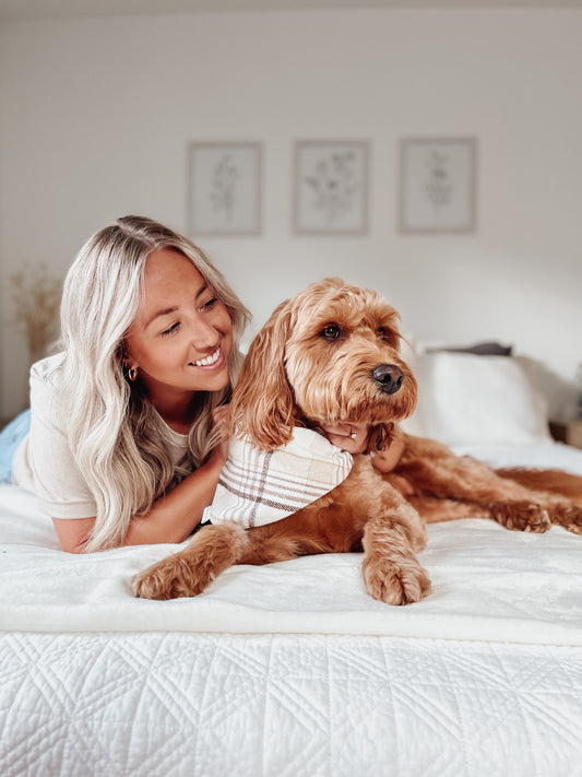 Light Beige Plaid Knit Dog Bandana