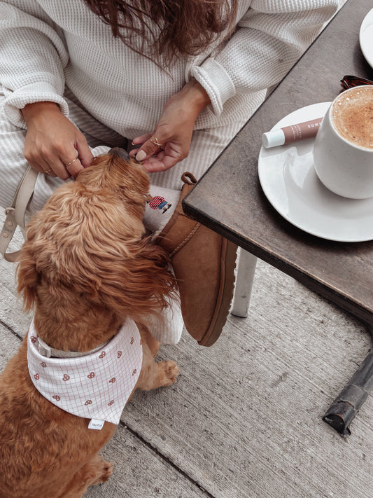 Morning Market Dog Bandana