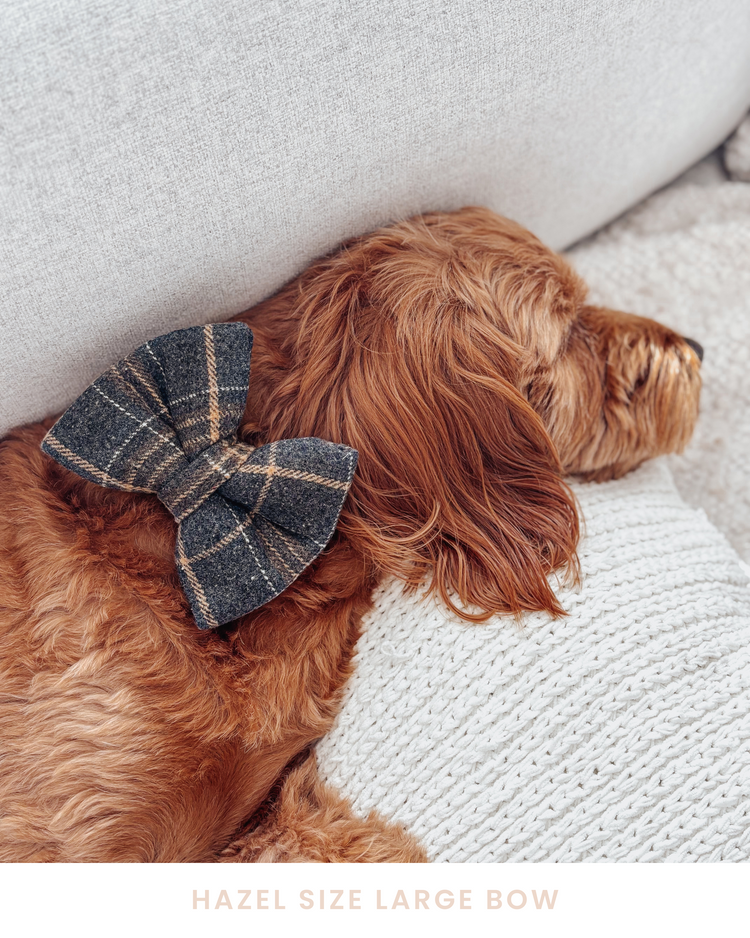 Grandpa Plaid Dog Bow