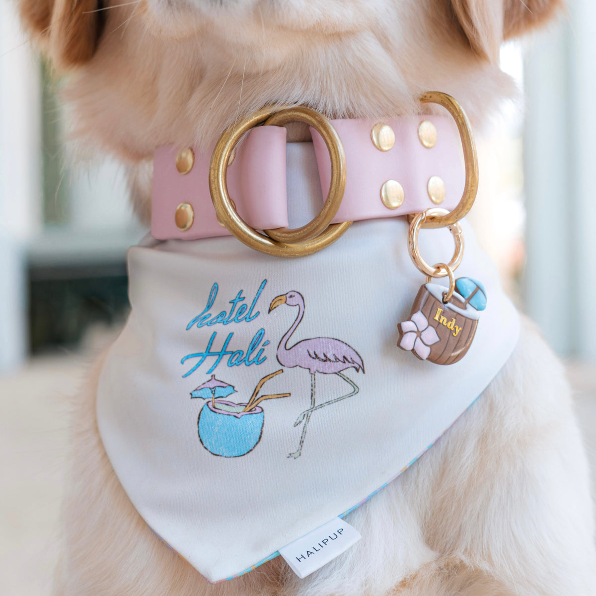 Hotel Hali Dog Bandana