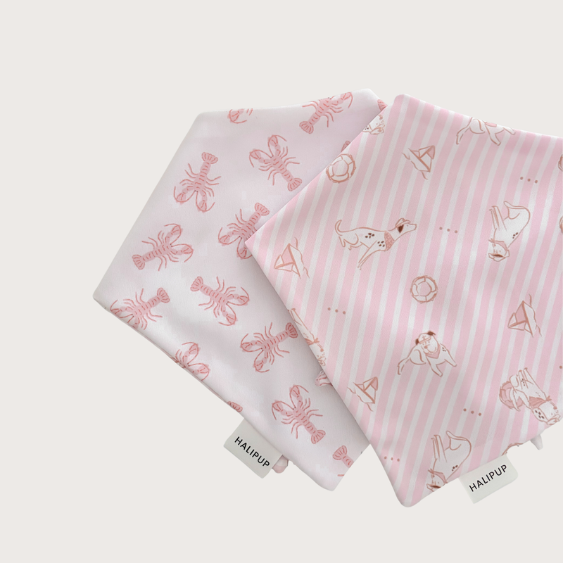 Coastal Pup Dog Bandana