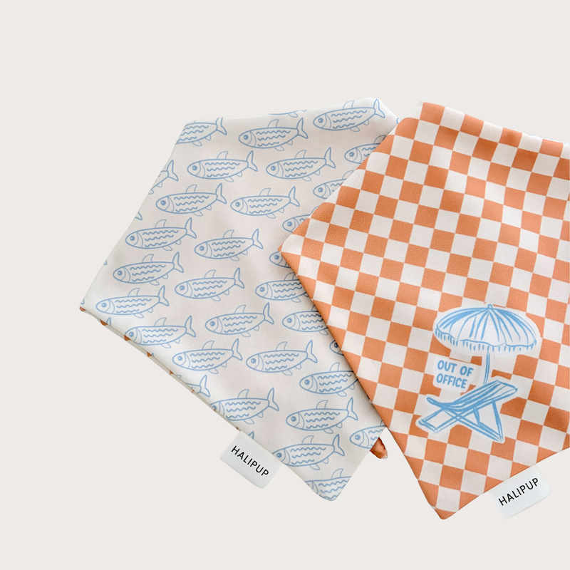 Porto Club Dog Bandana