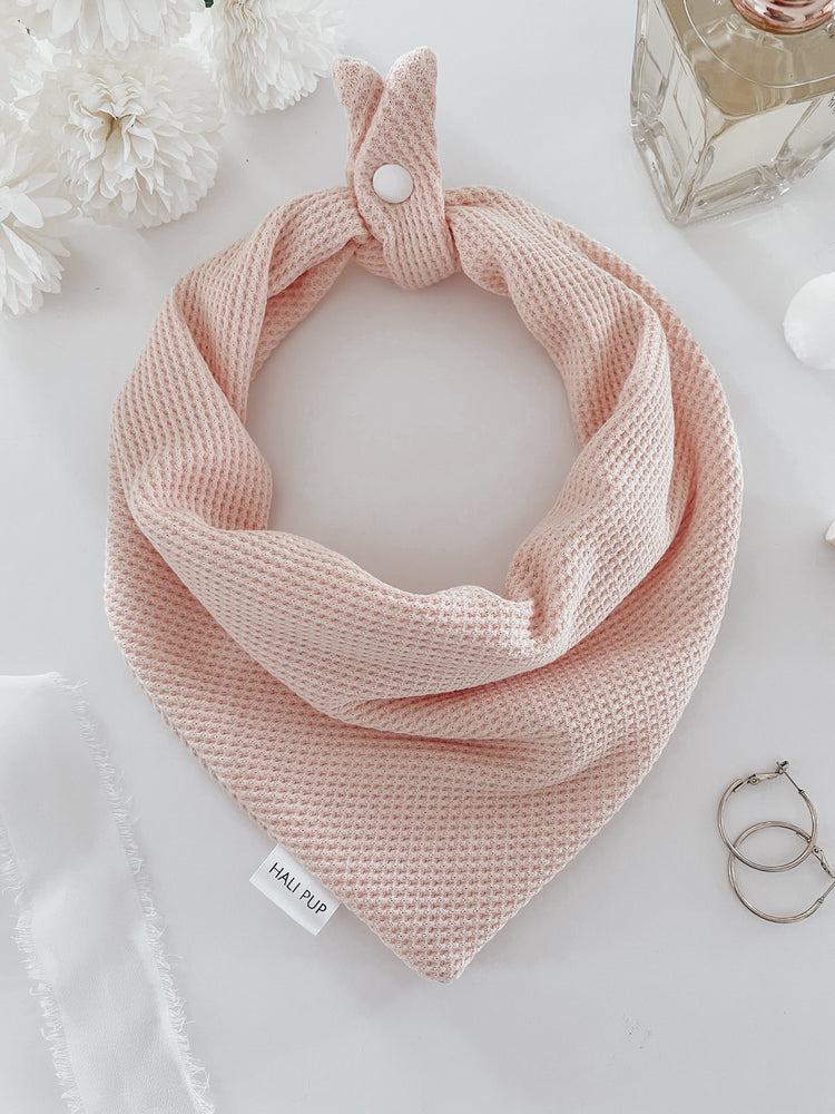 Blush Pink Knit Over The Collar Dog Bow