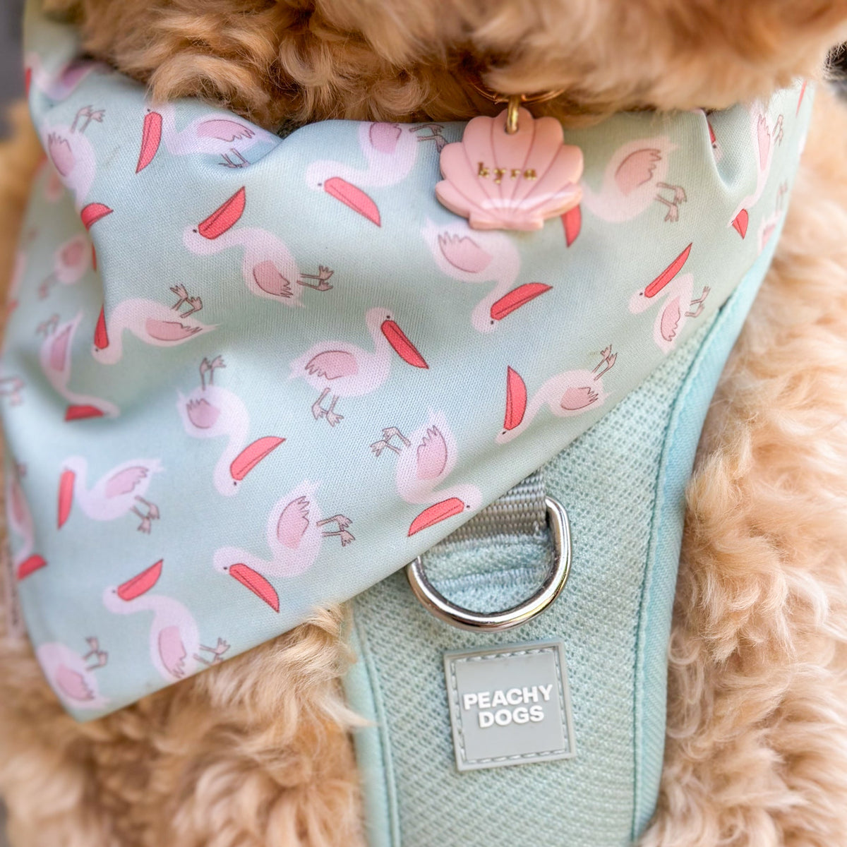 The Tropics Dog Bandana