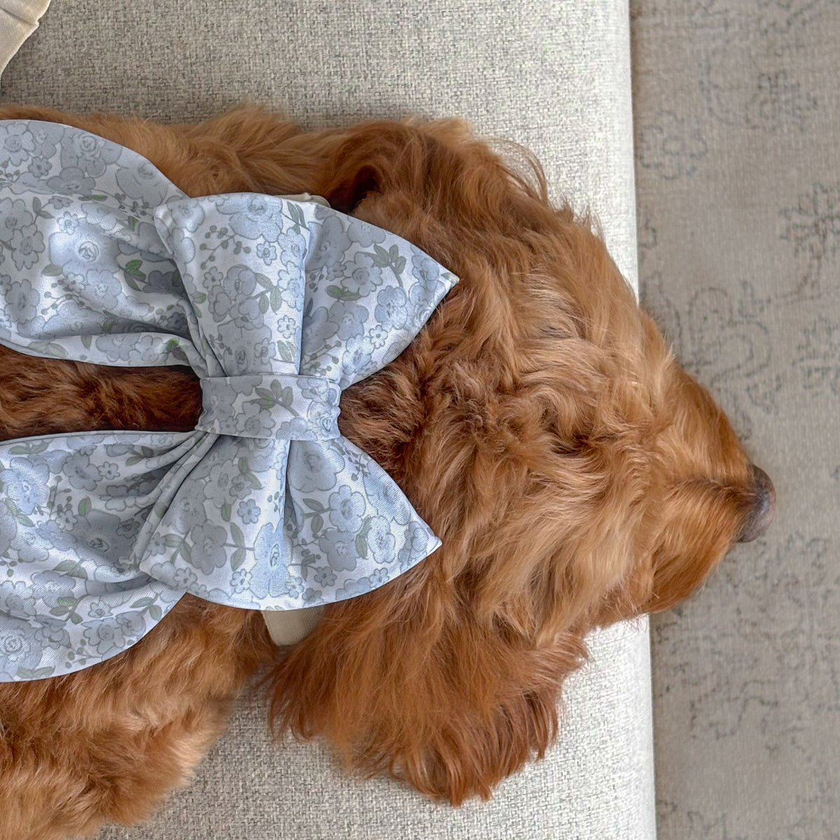 The Lilia Sailor Dog Bow