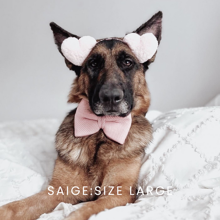 Blush Pink Knit Over The Collar Dog Bow