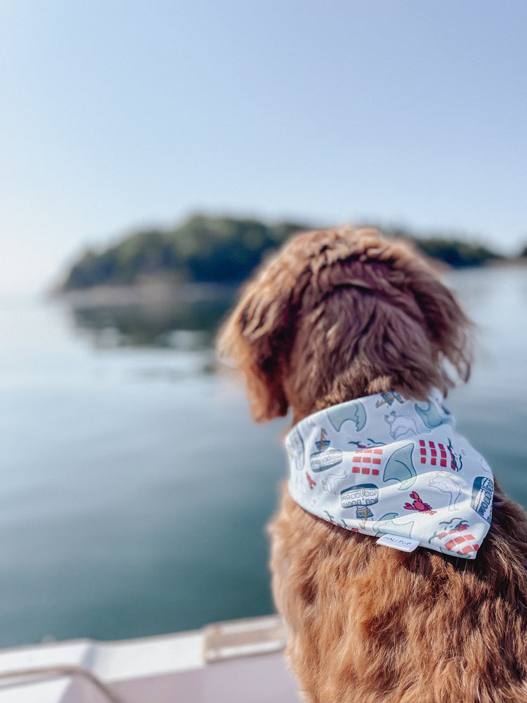 Harbour City With Reversible Beach Crabs Dog Bandana