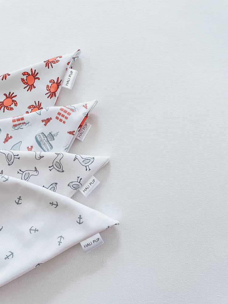 Summer Seagulls With Reversible Anchors Dog Bandana