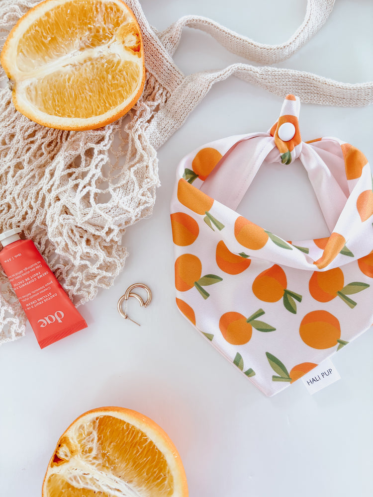 Spritz O’clock & Citrus Dog Bandana