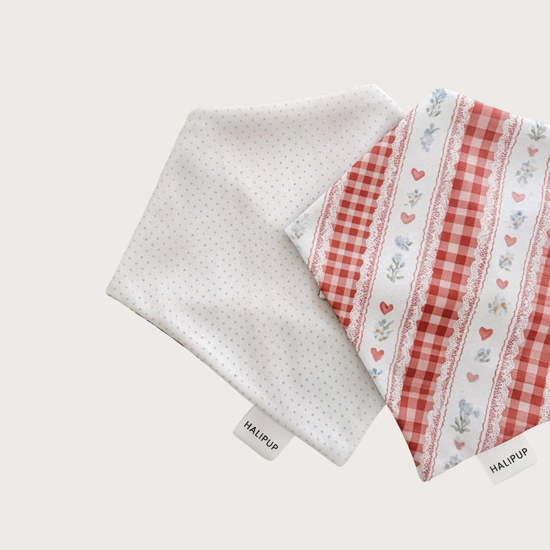 The Scarlet Dog Bandana