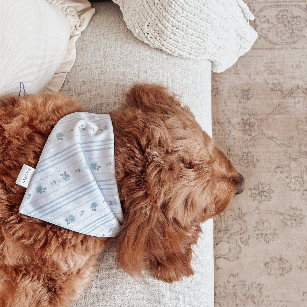 The Lilia Dog Bandana (Copy)