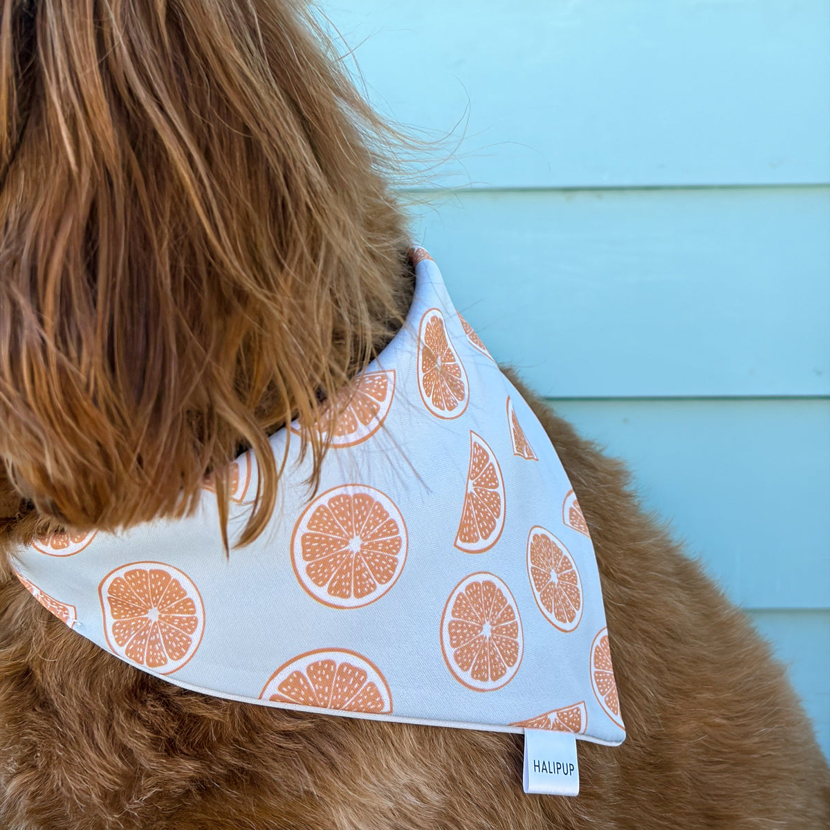 Pomelo Dog Bandana