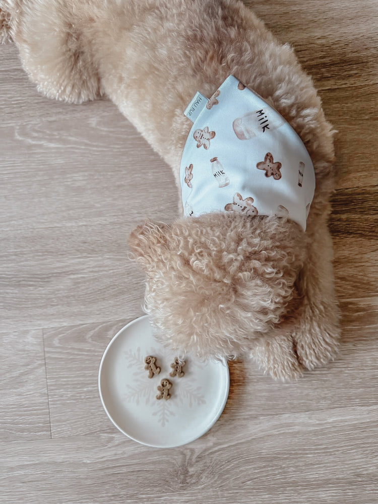 Milk & Cookies with reversible gifts dog bandana