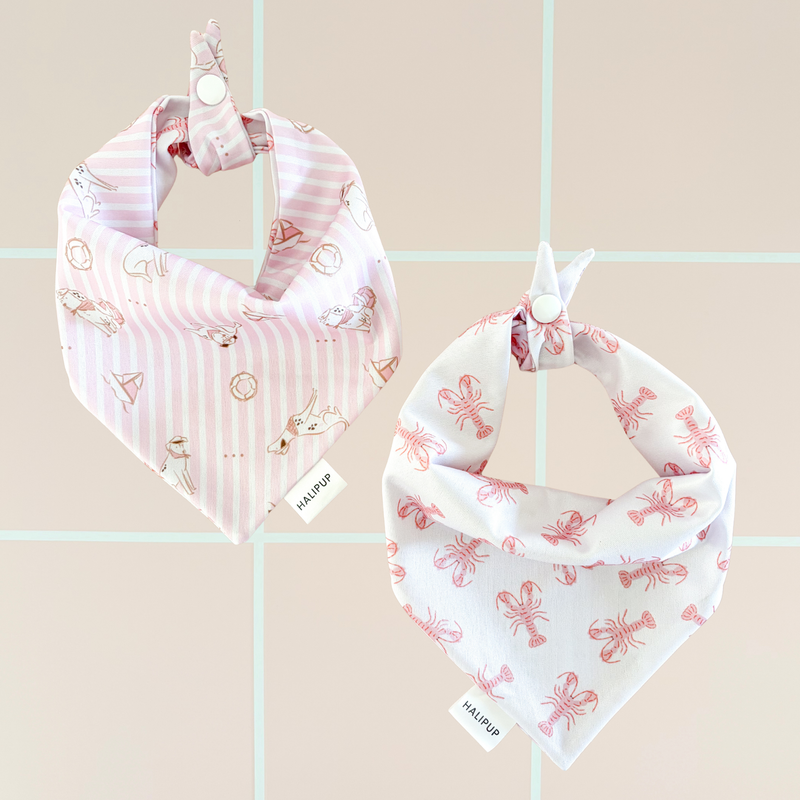 Coastal Pup Dog Bandana