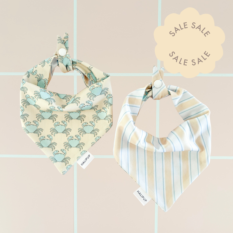 Minor Flaw Capri Coast Dog Bandana