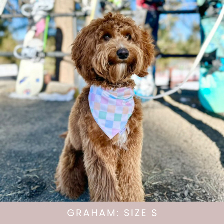 Neon Smileys Reversible Dog Bandana