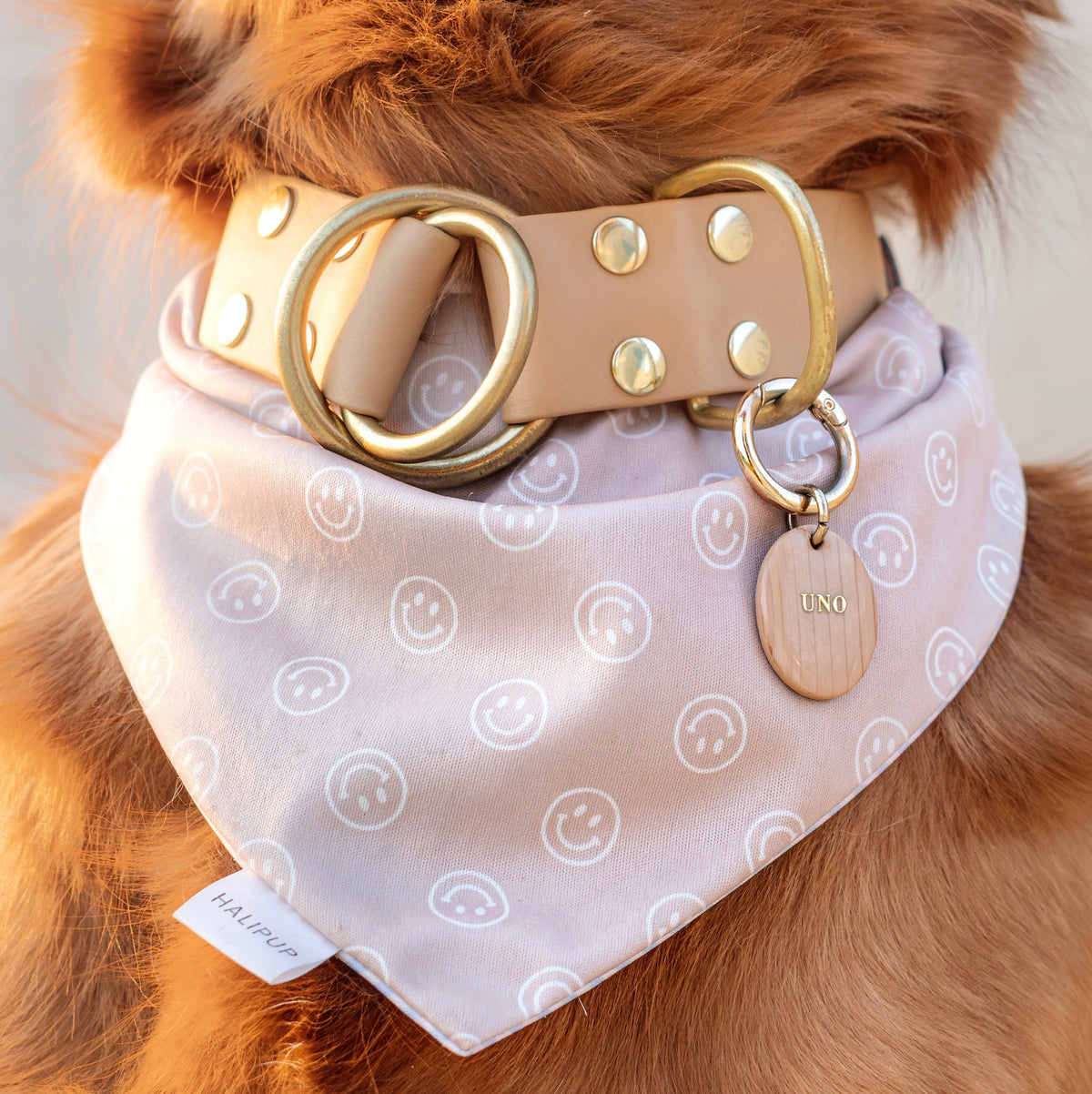 Sunday Stripes Dog Bandana