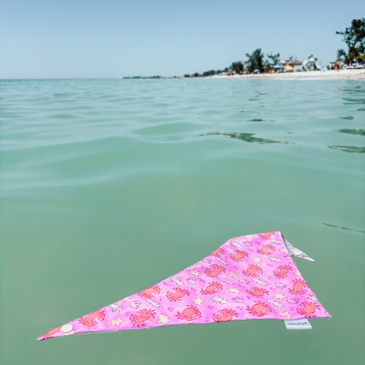 Under the Sea Dog Bandana