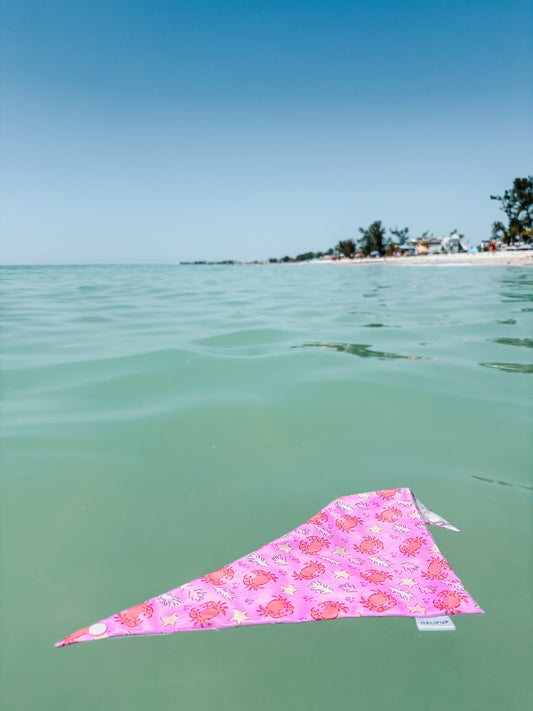 Under the Sea Reversible Dog Bandana