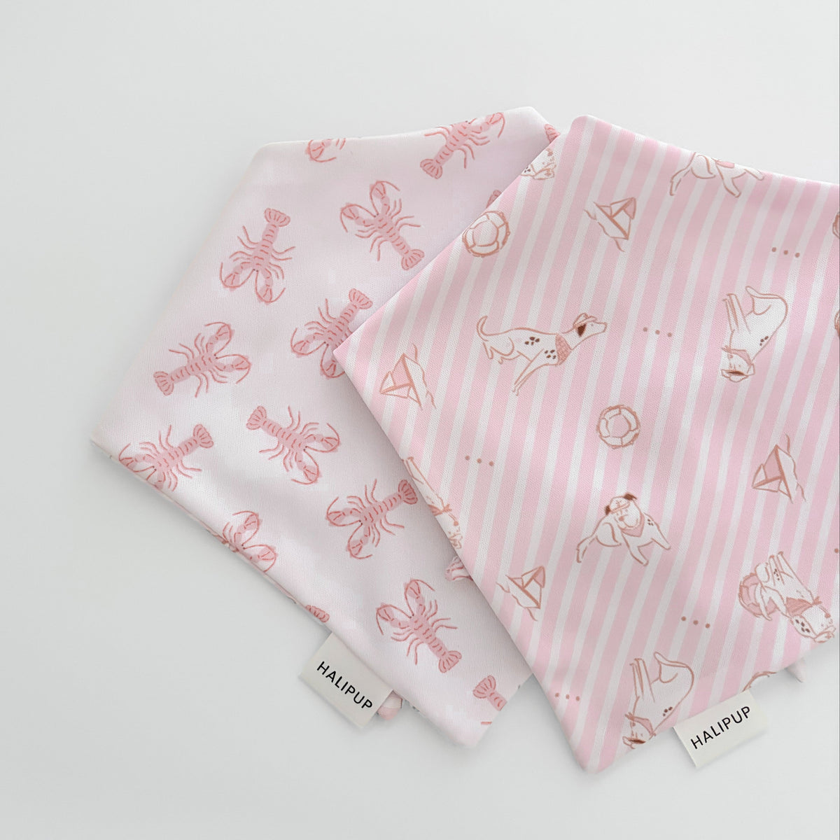 Coastal Pup Dog Bandana