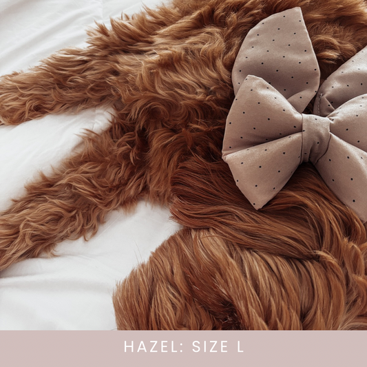 Brown Polkadot Over the collar dog bow