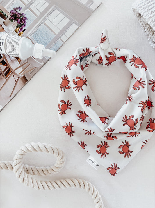 Harbour City With Reversible Beach Crabs Dog Bandana