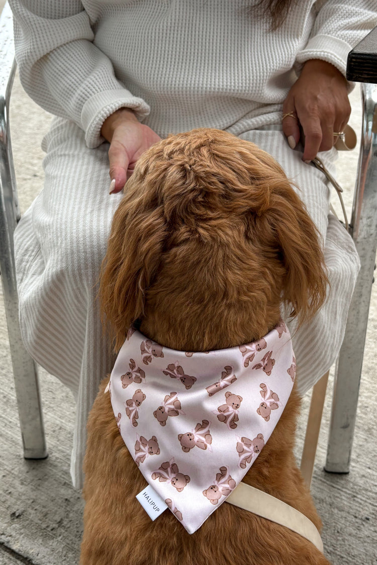 Bears & Bows Dog Bandana