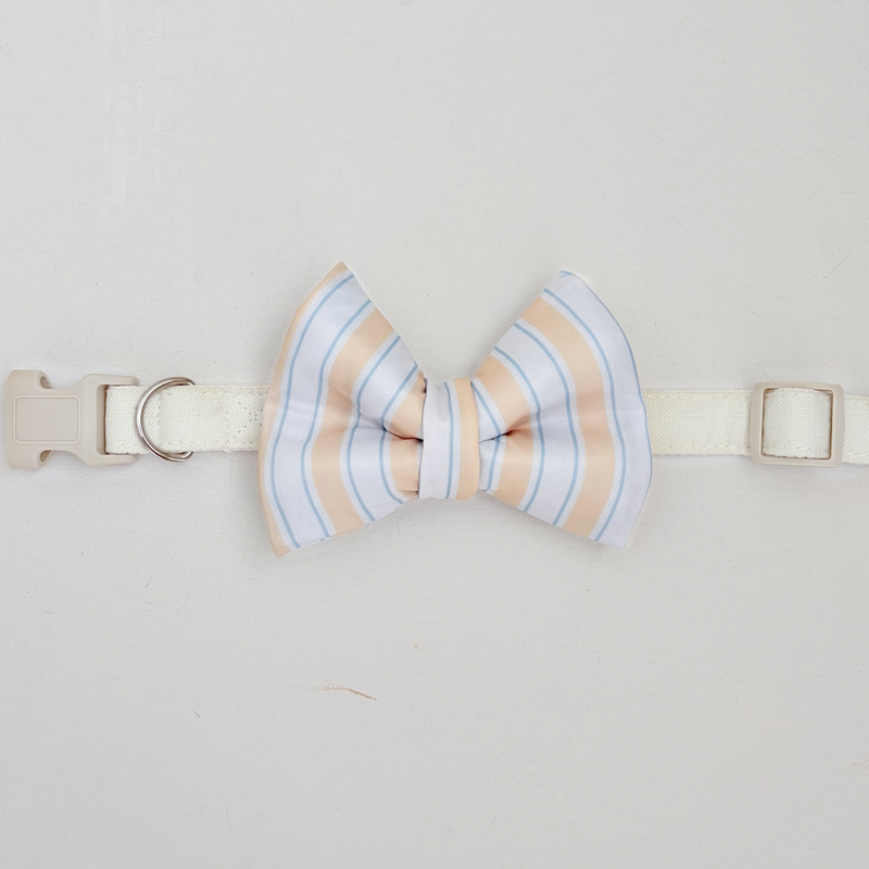 Capri Coast Classic Dog Bow