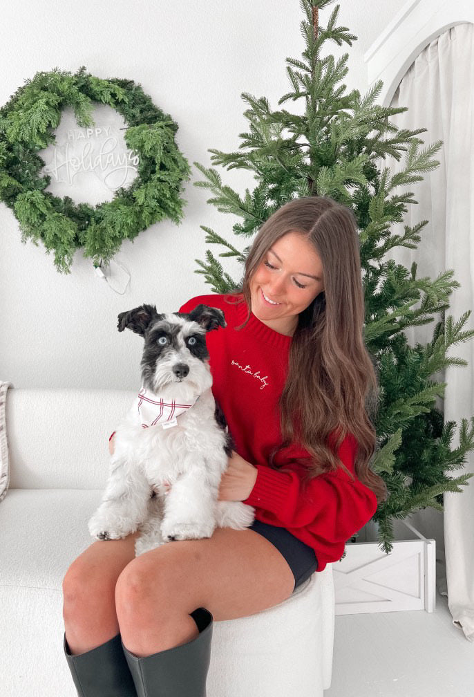 Christmas Plaid Over the collar dog bow