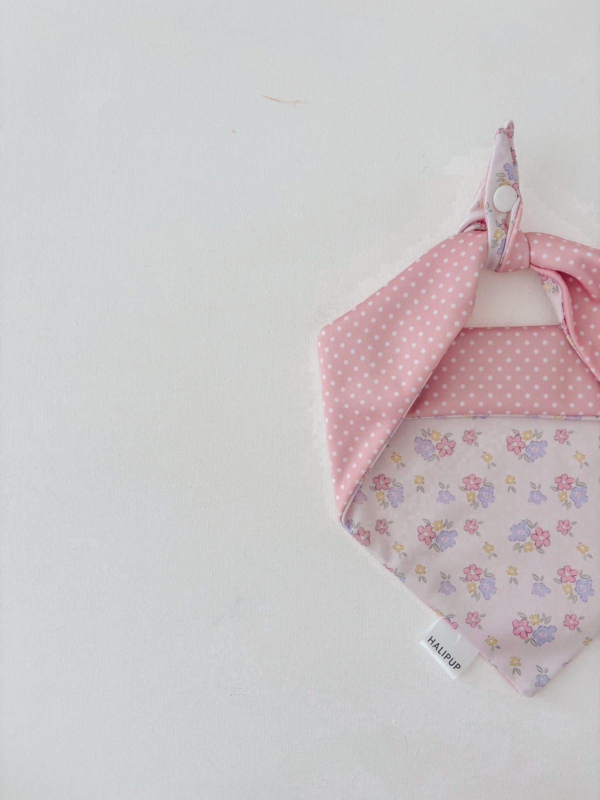 Petals & Polkas Dog Bandana