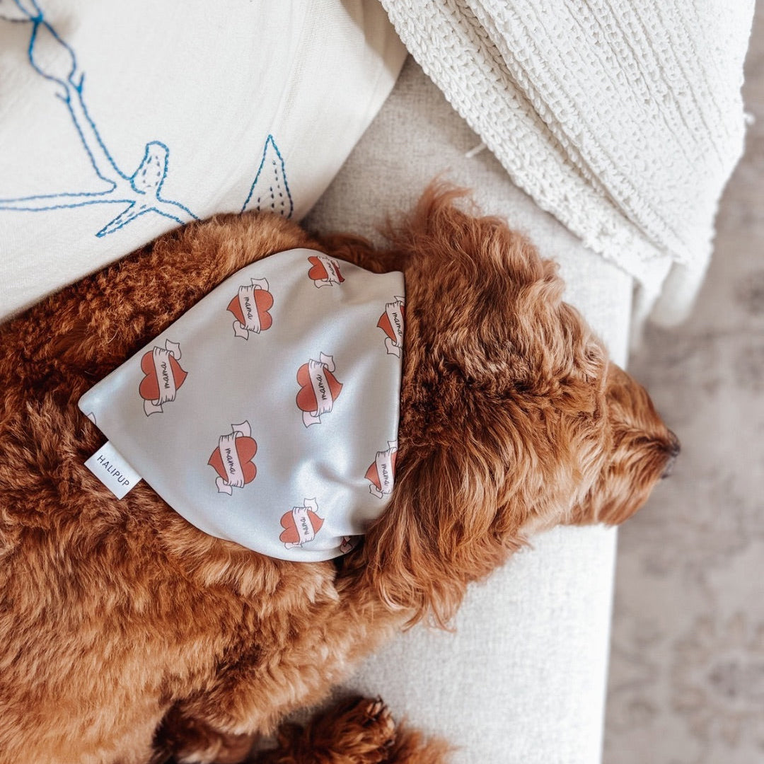 Mamas Babe Dog Bandana