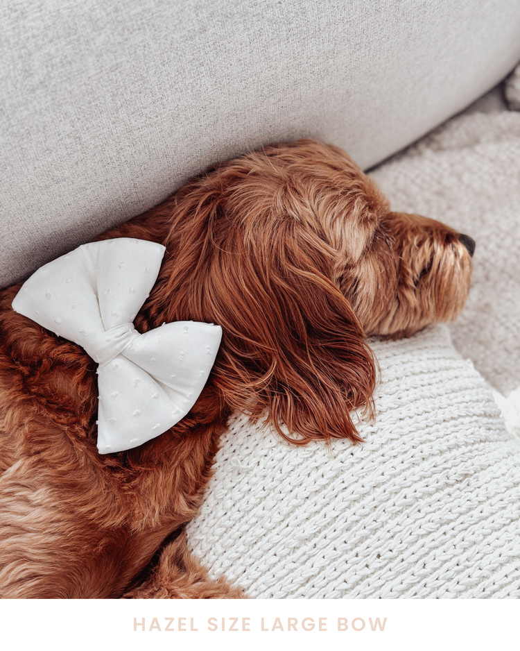 White Swiss Dot Dog Bow