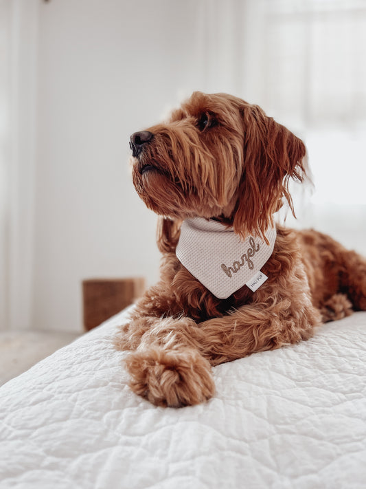 Beige knit Custom Embroidered Dog Bandana