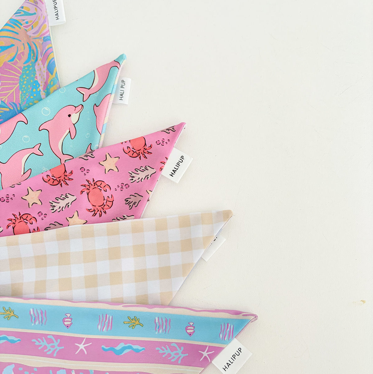 Club Paradise Dog Bandana
