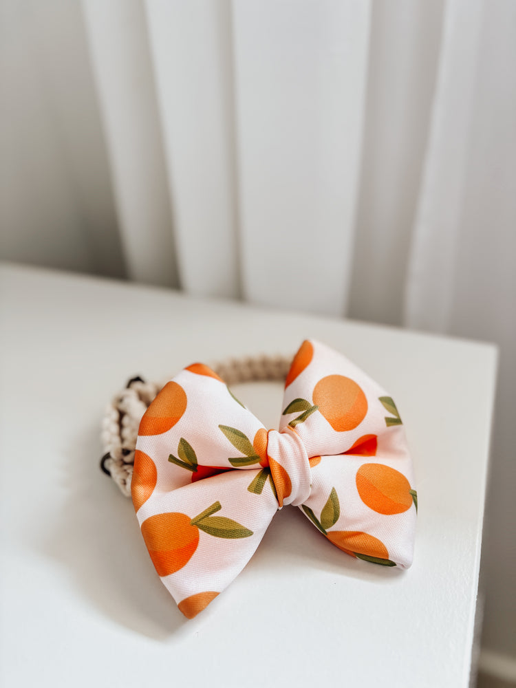 Citrus Over The Collar Dog Bow