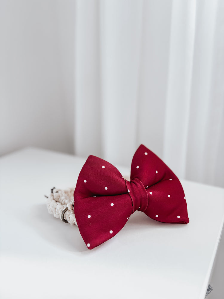 Red and white polkadots Over the collar dog bow