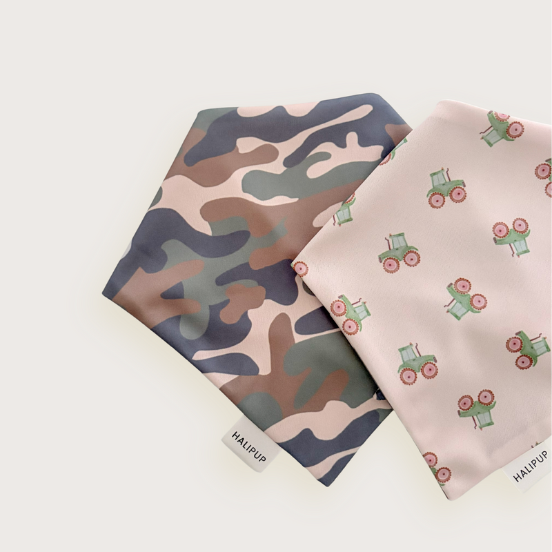 Hillside Harvest Dog Bandana