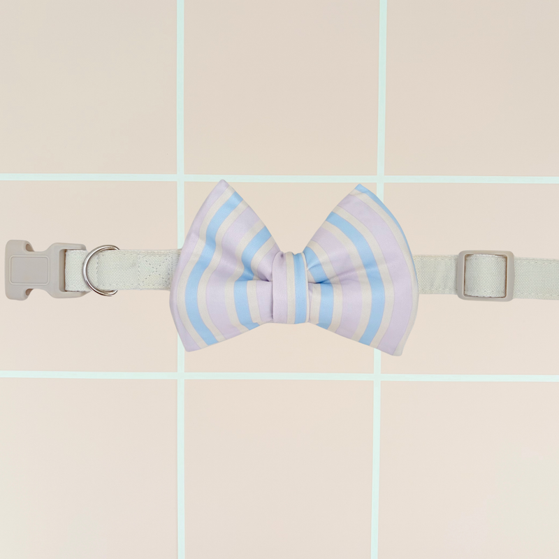Waterbaby Stripe Classic Dog Bow