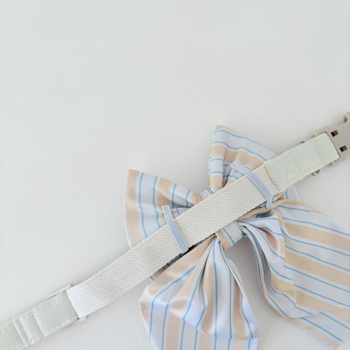Capri Coast Sailor Dog Bow