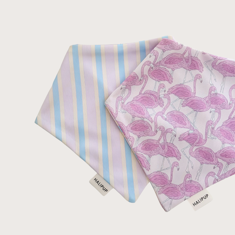 Stardust Springs Dog Bandana