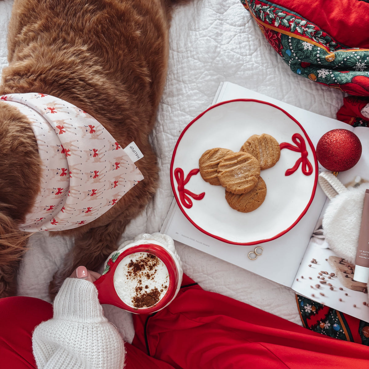 Person and dog in red pajama pants and white socks holding a mug with cookies on a plate, surrounded by festive decor.