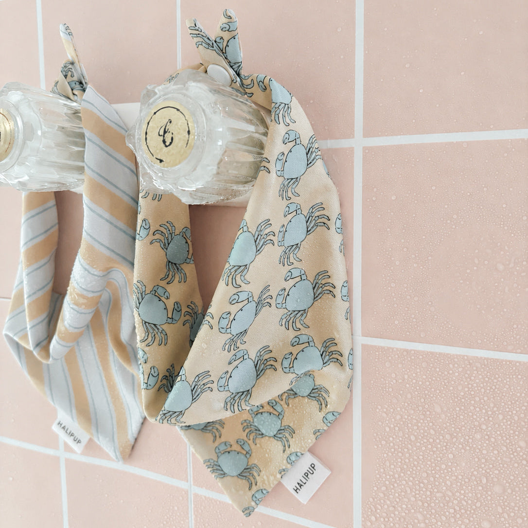 Capri Coast Sailor Dog Bow