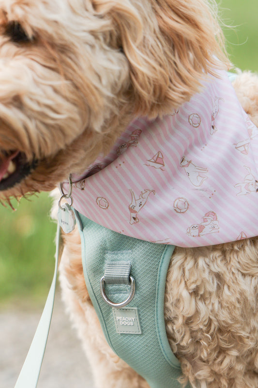 Coastal Pup Dog Bandana