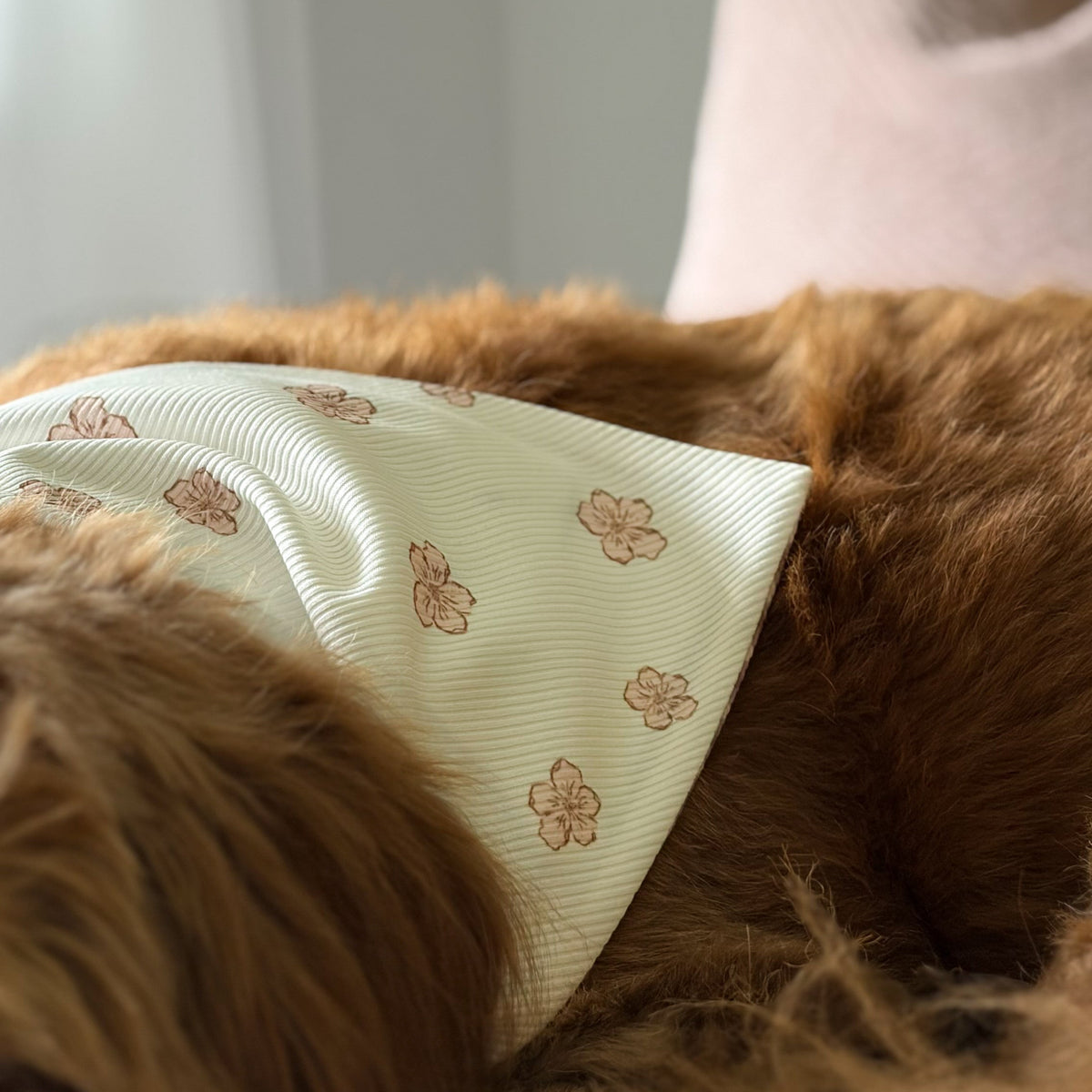 MINOR FLAW The Margot Ribbed Dog Bandana