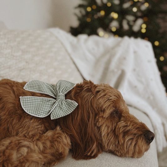 Sage Gingham Dog Bow