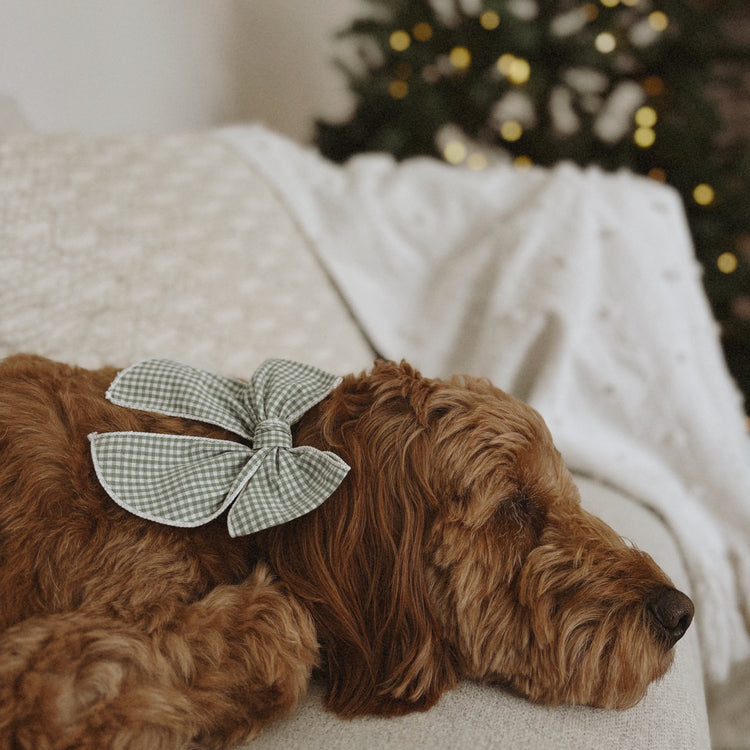 Sage Gingham Dog Bow